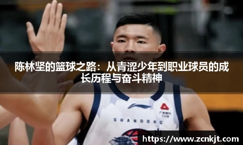 熊猫体育在线登录